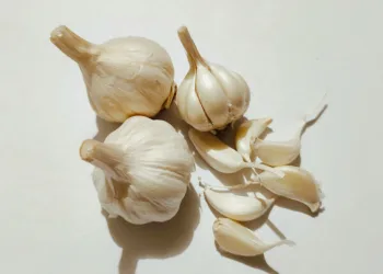 KNO-experts zijn duidelijk: dit zijn 4 gevaren van knoflook in je neus tegen een verkoudheid