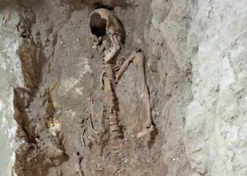 Dutch archaeologist arrested for keeping “d’Artagnan’s” bones