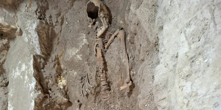 Dutch archaeologist arrested for keeping “d’Artagnan’s” bones