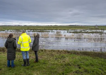 Je gaat straks meer dan 1000 euro belasting aan het waterschap betalen: ‘Grofweg een verdubbeling’