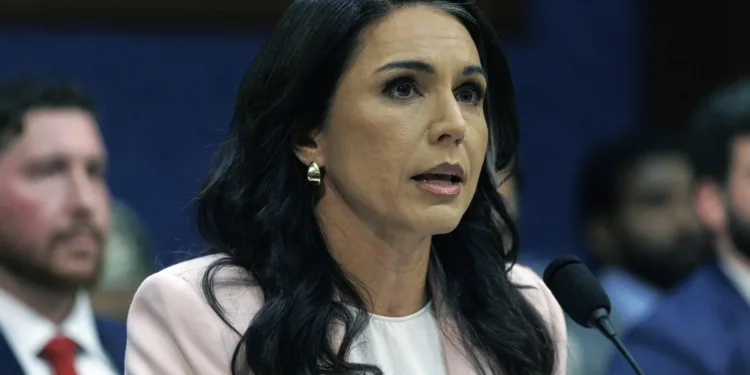 Hoofd van Amerikaanse inlichtingendiensten Tulsi Gabbard stapt op