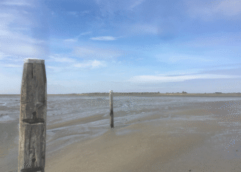 Mining company wins licence to extract more salt from Wadden Sea