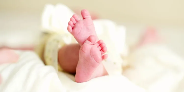 Dutch birth rate plummets 16% in the last 10 years