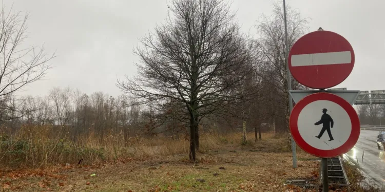 Amsterdam’s plan to build a giant erotic centre is scrapped