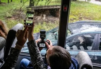 Cheetah escapes from safari park in Beekse Bergen