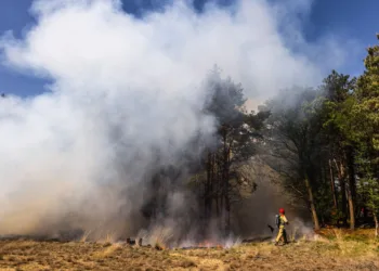 Military to revise training rules as fires burn into third day