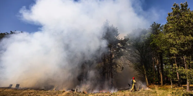 Military to revise training rules as fires burn into third day