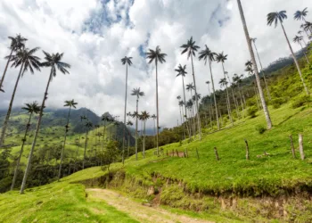Body of missing Dutch tourist found in lake in Colombia