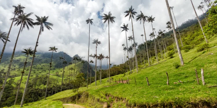 Body of missing Dutch tourist found in lake in Colombia
