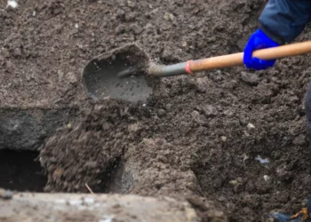 Gravedigger suspected of stealing gold from Hague graves