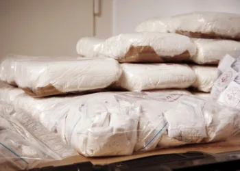 Government pushes EU to cut Sierra Leone aid over drug smuggling